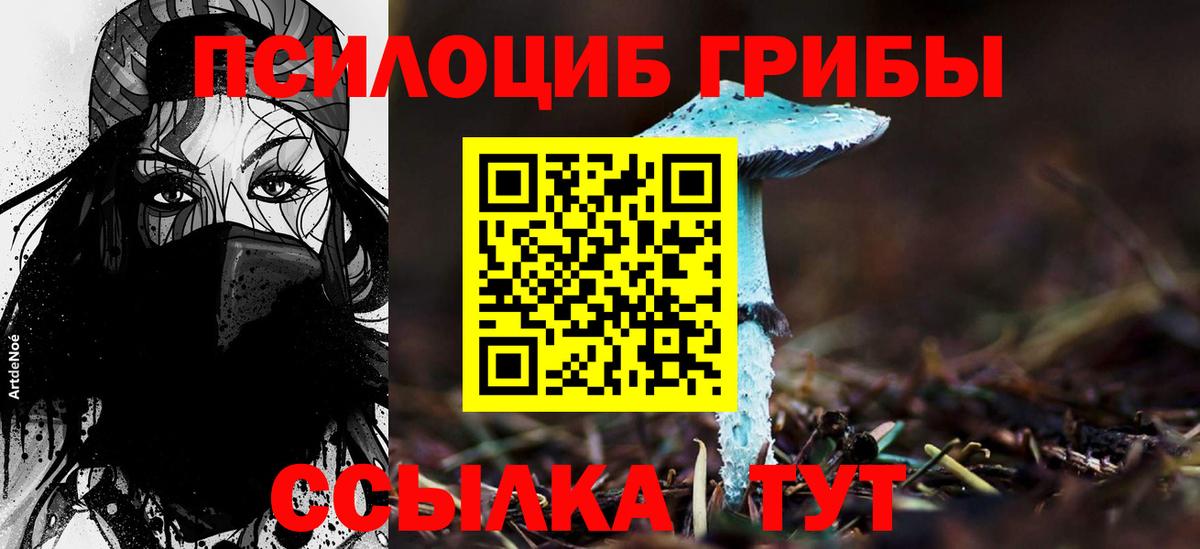 Галлюциногенные грибы мухоморы Мирный