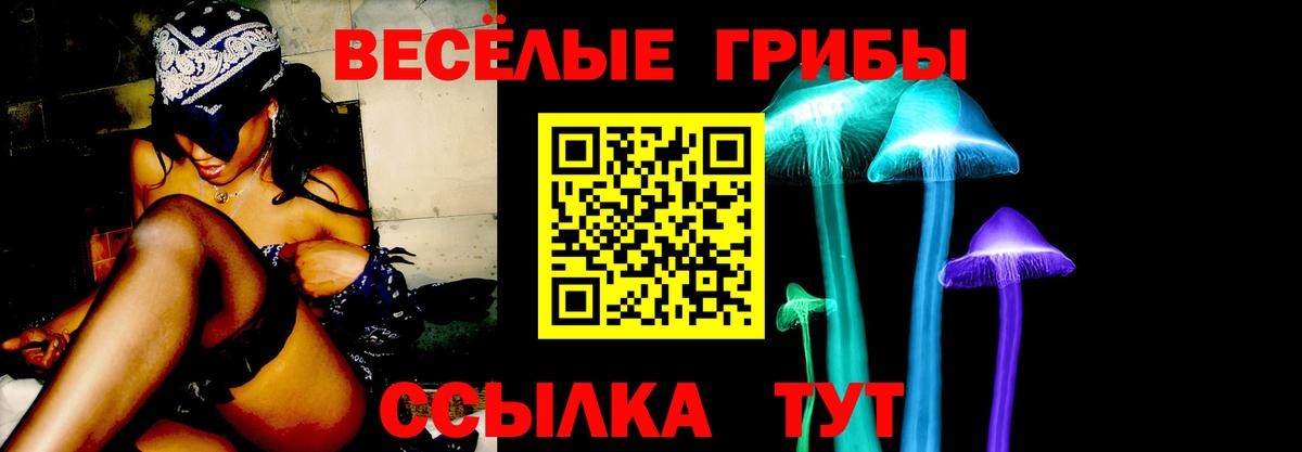 Мирный  Псилоцибиновые грибы Psilocybine cubensis  Галлюциногенные грибы мицелий  Вход с VPN 